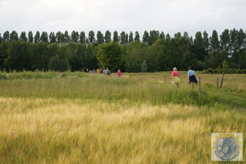 DSC03688-Kopie