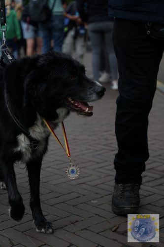 DSC04195-Kopie