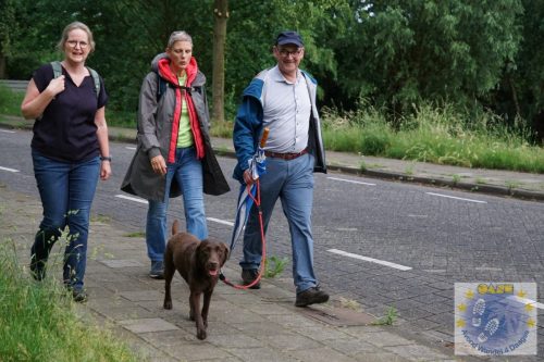 DSC05235-Kopie