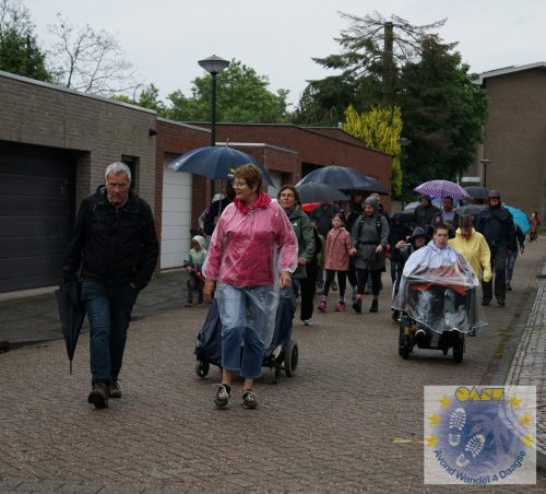 DSC05250-Kopie