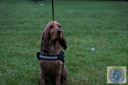 DSC05408-Kopie