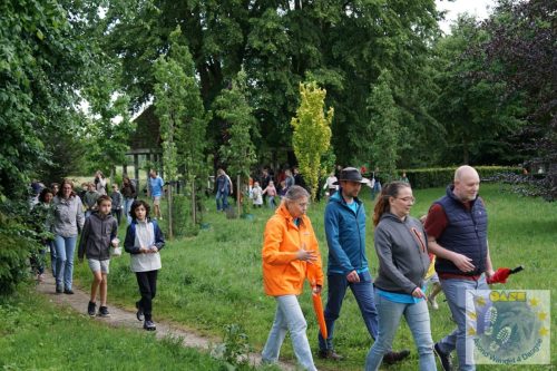 DSC05447-Kopie