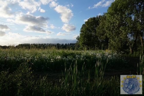 DSC05676-Kopie