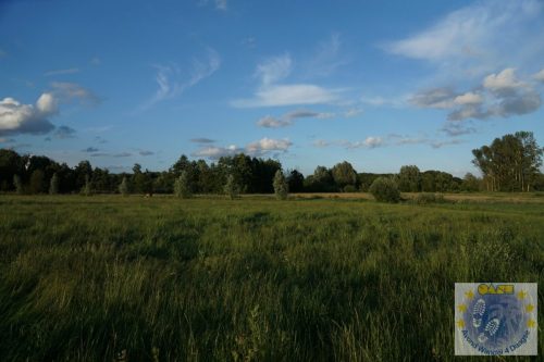 DSC05684-Kopie